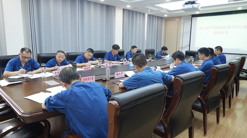 5月30日下午，武山铜矿进行党委理论进建中心组专题进建会议（冯浩）.jpg